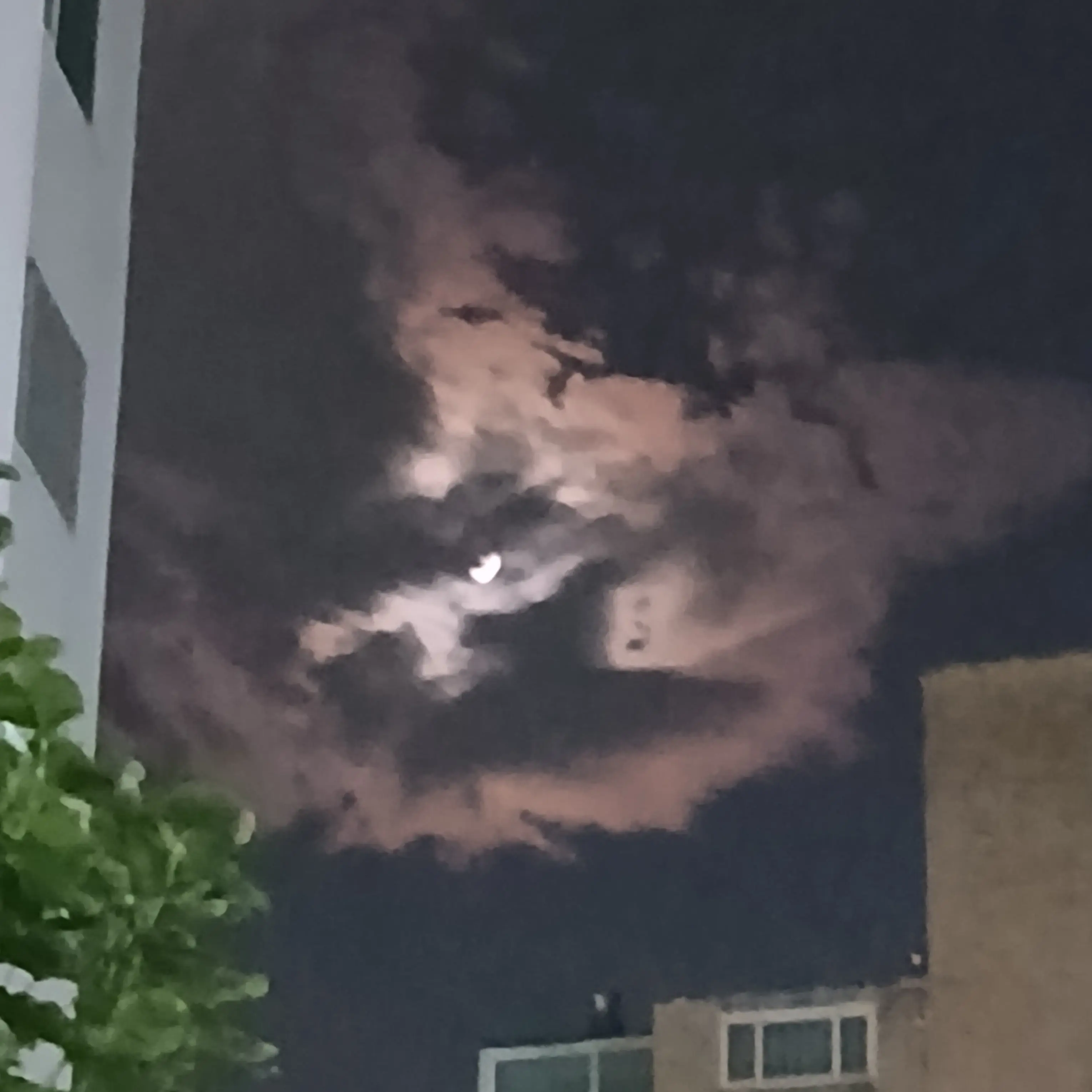 Tttoo의 술 취한 오비스트들