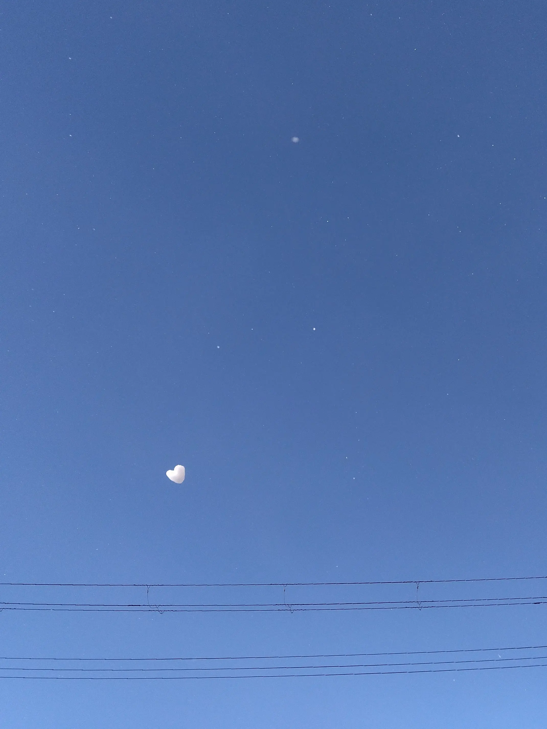 LemonyPlant5244의 どわーw