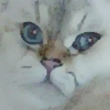 뭔가 이상한 학교