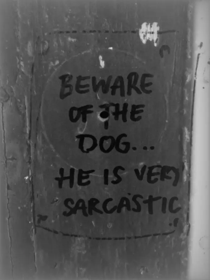 caress의 Sirius Black