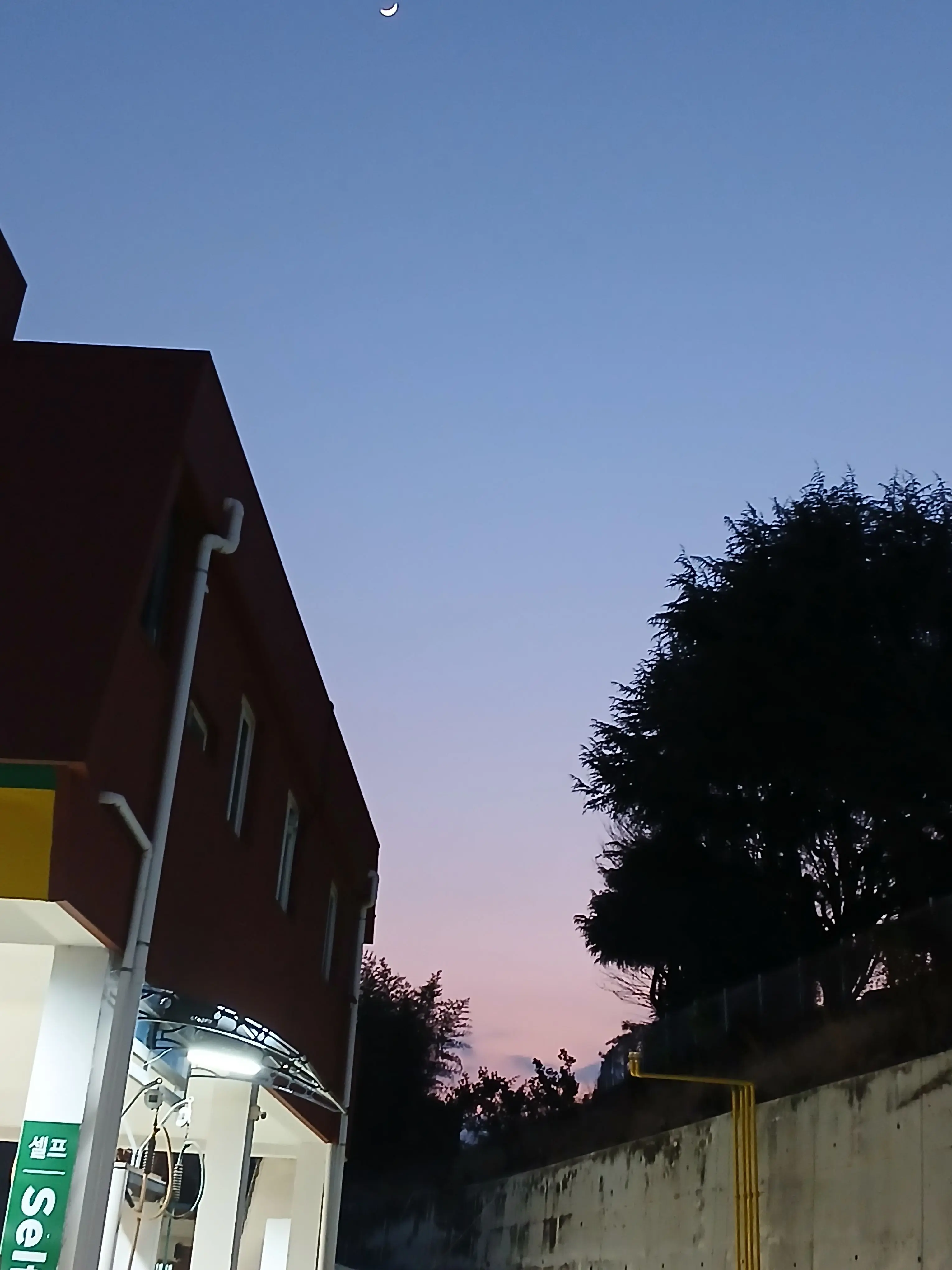 TrendyLid5106의 괴수8호!