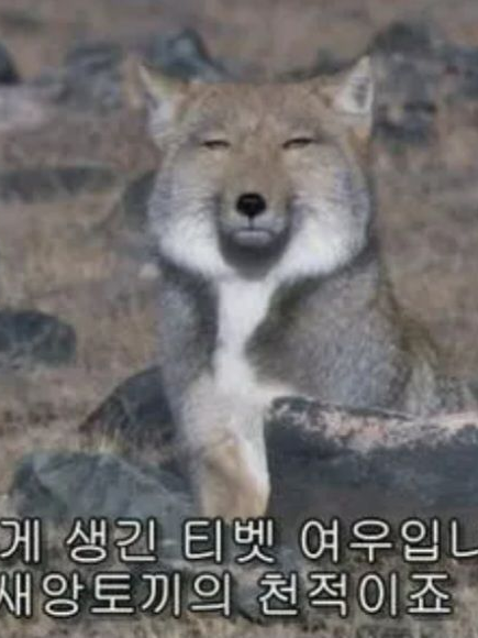 문제아인 그 아이는 대표 이미지