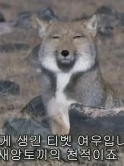 GayFlood8046의 문제아인 그 아이는