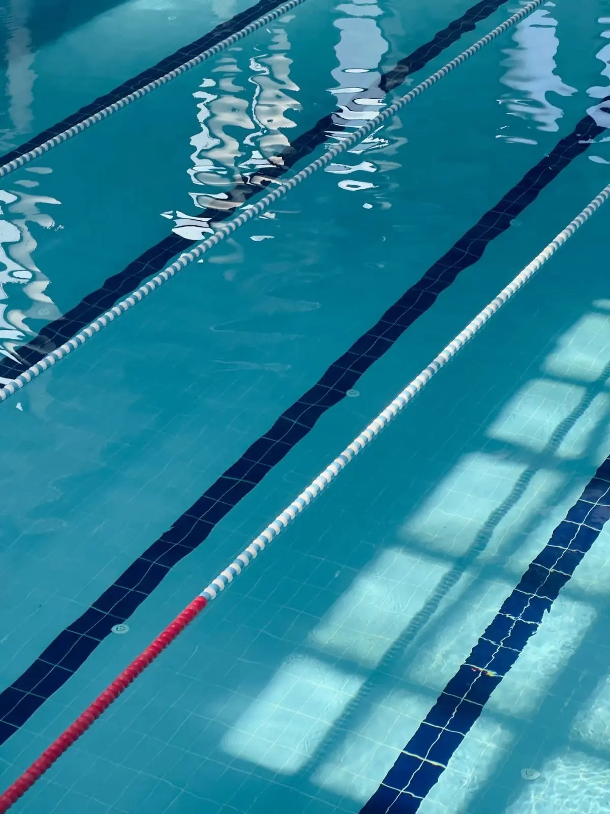 NimbleRobin2486의 물속의 그들