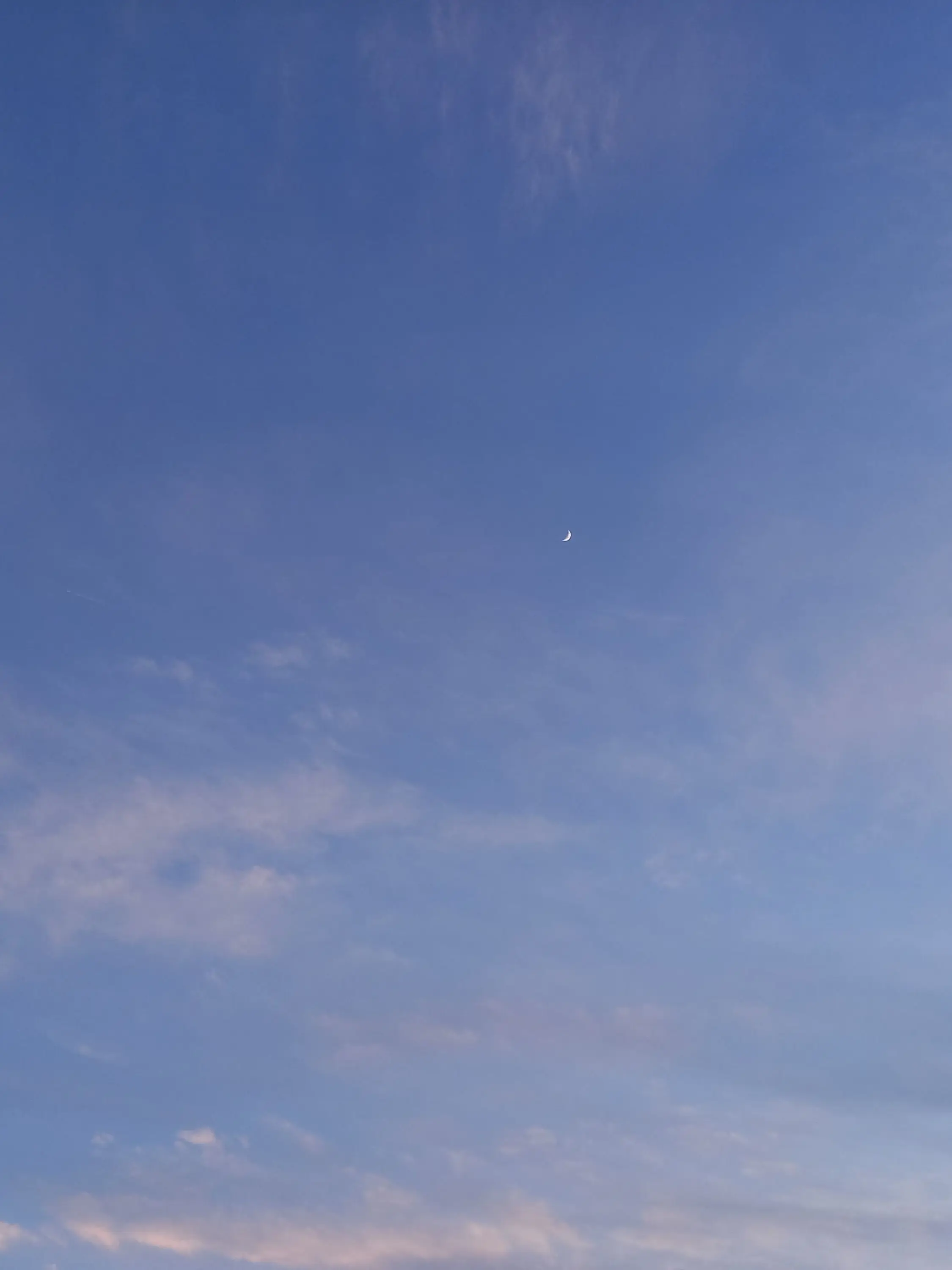 RaggedDust8037의 너의 바움쿠헨 엔드롤