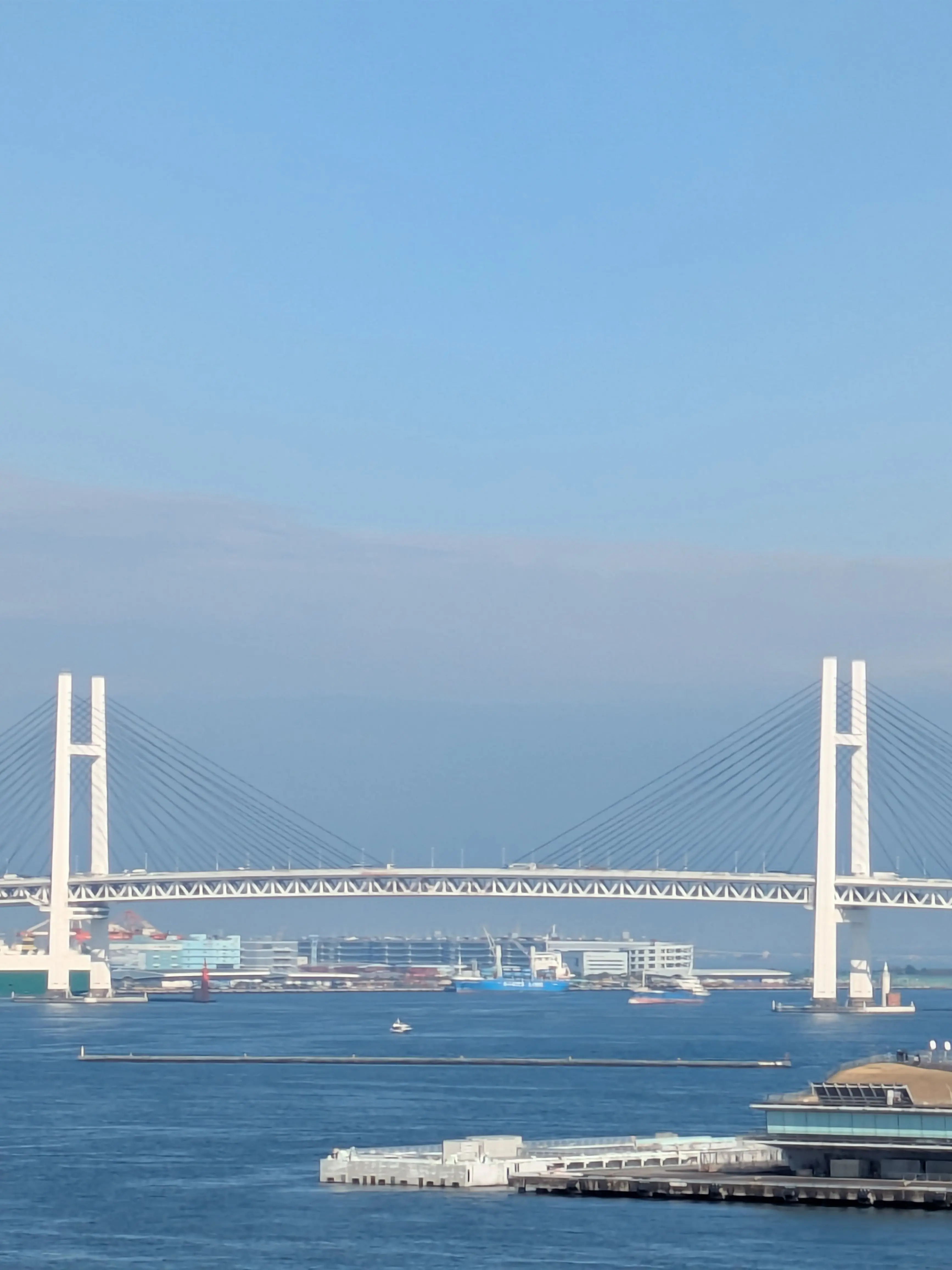 ArdentSteak1695의 桜の中見つけた君。