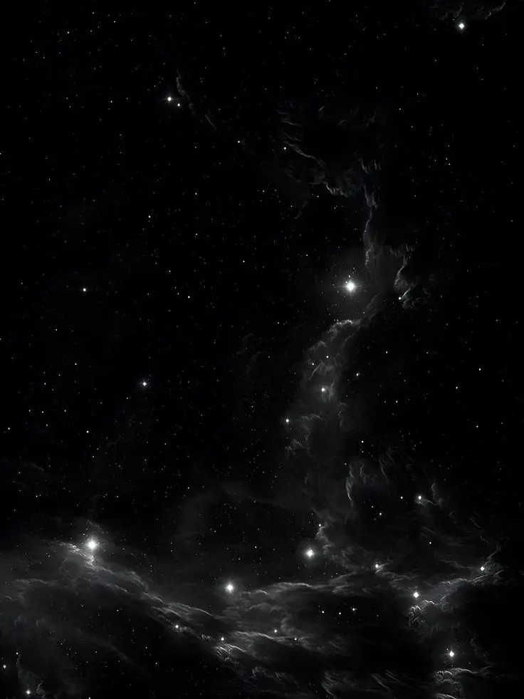 LavishCodec8242의 捨て子