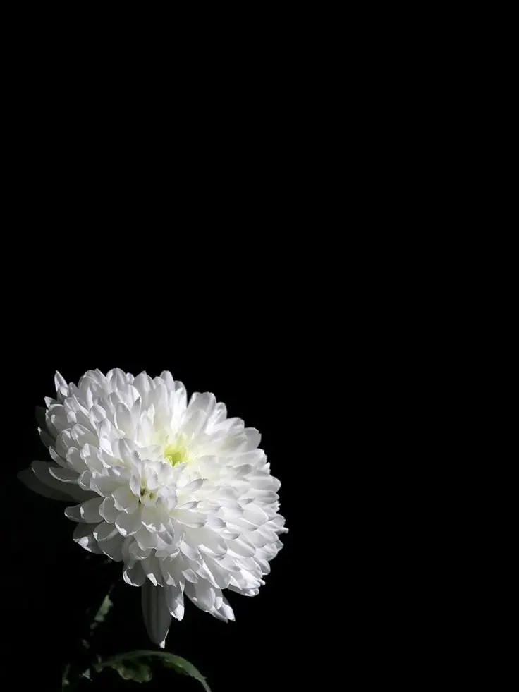 Alswl-의 造作
