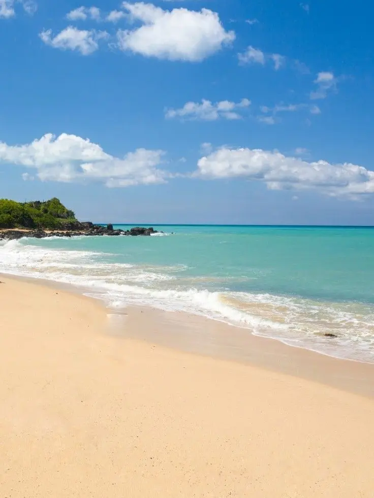 Hizashi77의 삼바카_인어 세계관