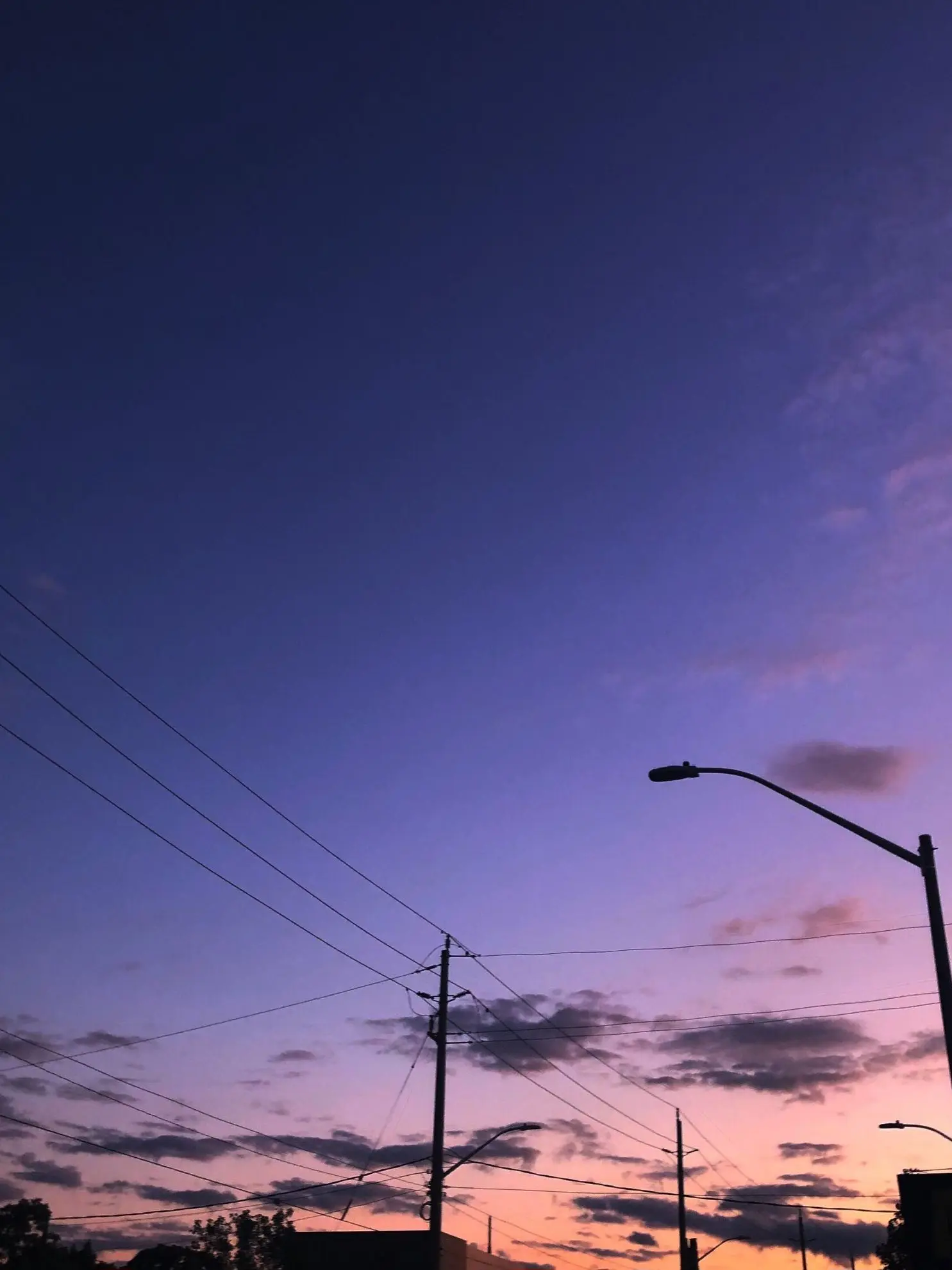 gggiiihhha의 뜰팁조직