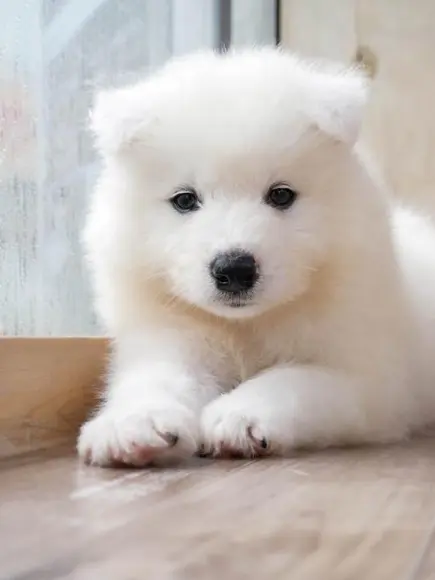 HeftyBlood6986의 라이벌 남녀무리