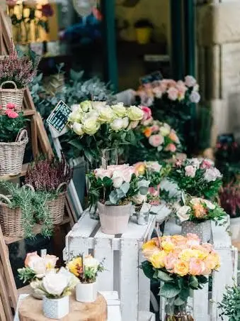aphCapeofGoodHope1523의 The Florist 🇬🇧
