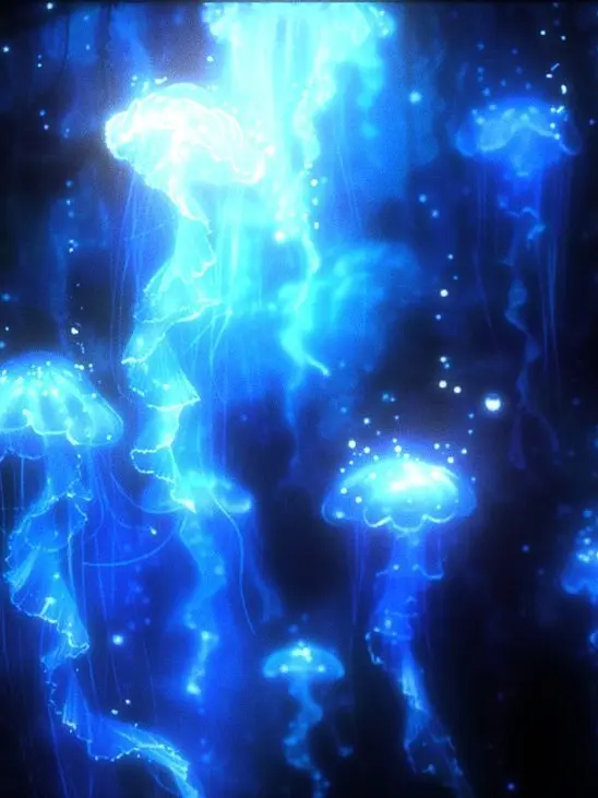 209699의 따듯함의 첫걸음