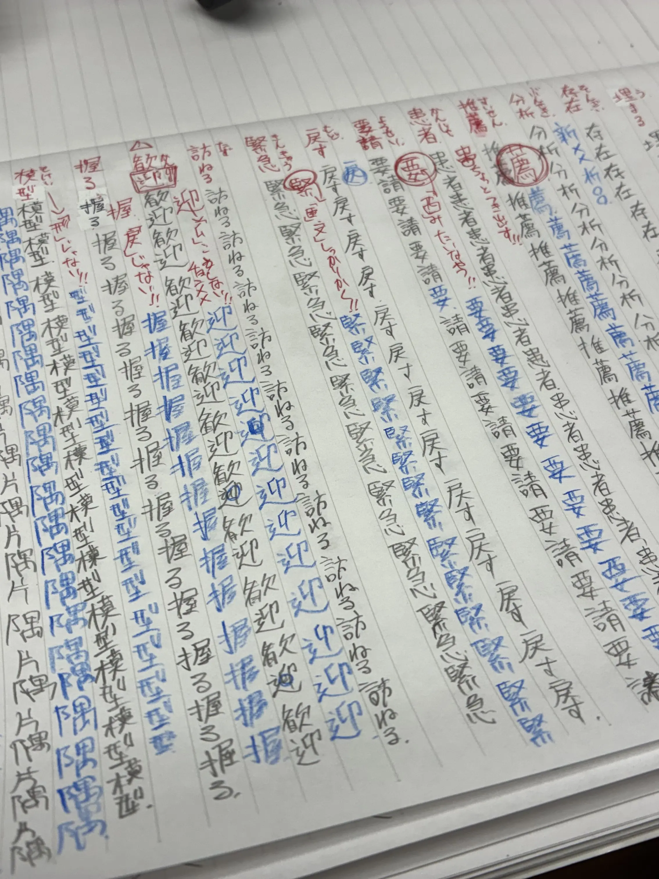 HuskyDream1833의 Study Buddies(?)