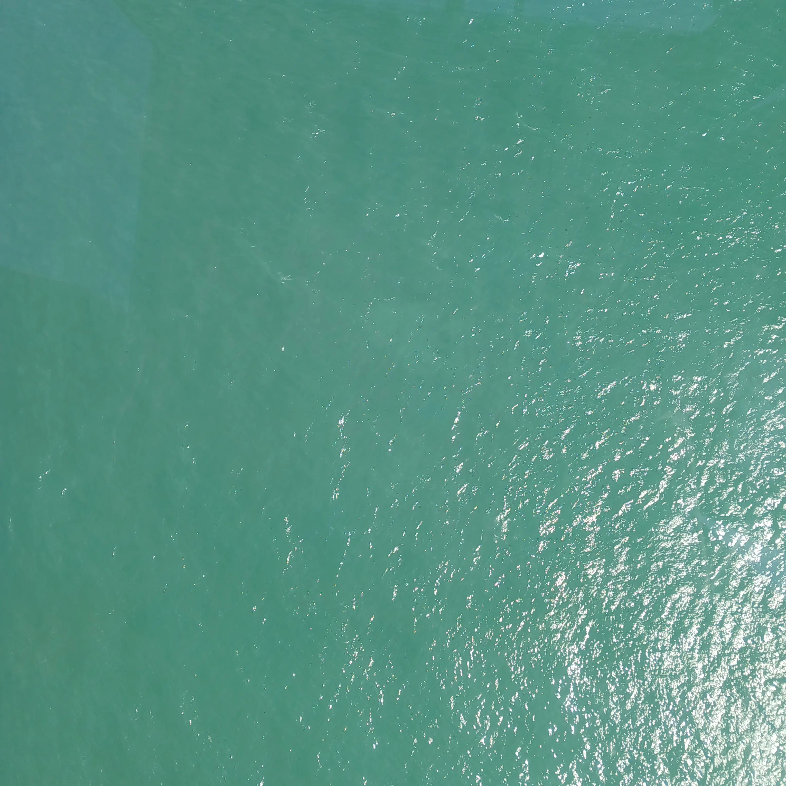 NastyBeat8873의 신청캐 받아요.