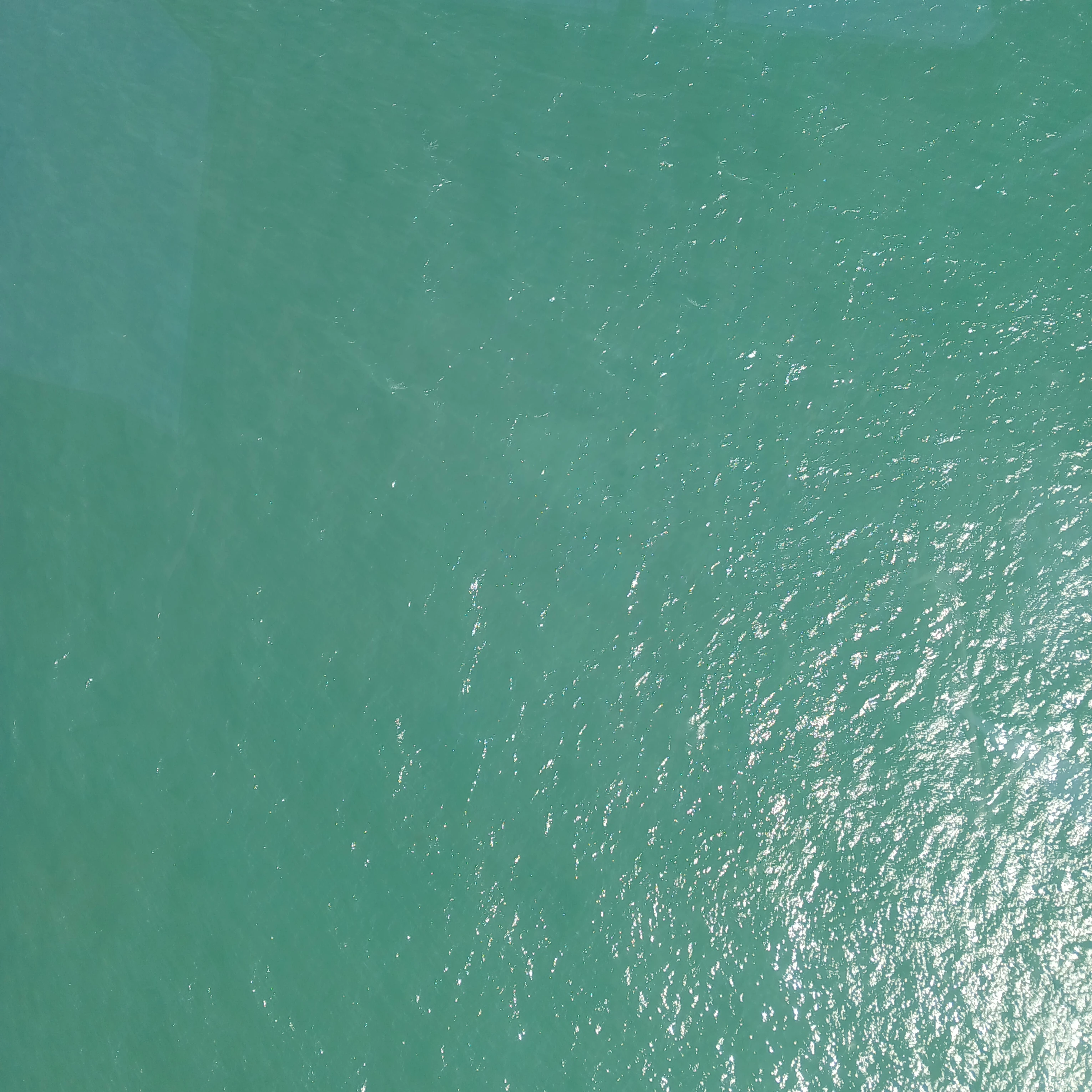 신청캐 받아요.