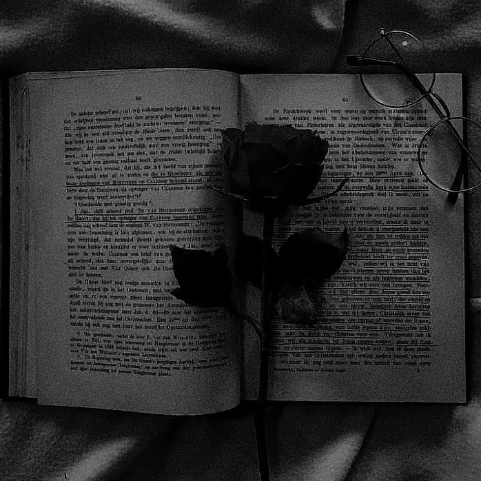 _ho5hi의 . ִ ֗☁︎