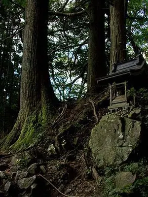SmugCart1864의 将来の