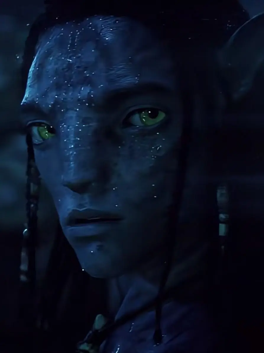 CustomPika7904의 설리가 형제