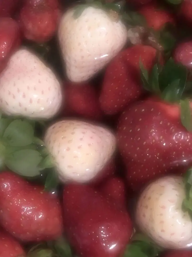 ModestWind9334의 넌 그거 말곤 관심이 없어?