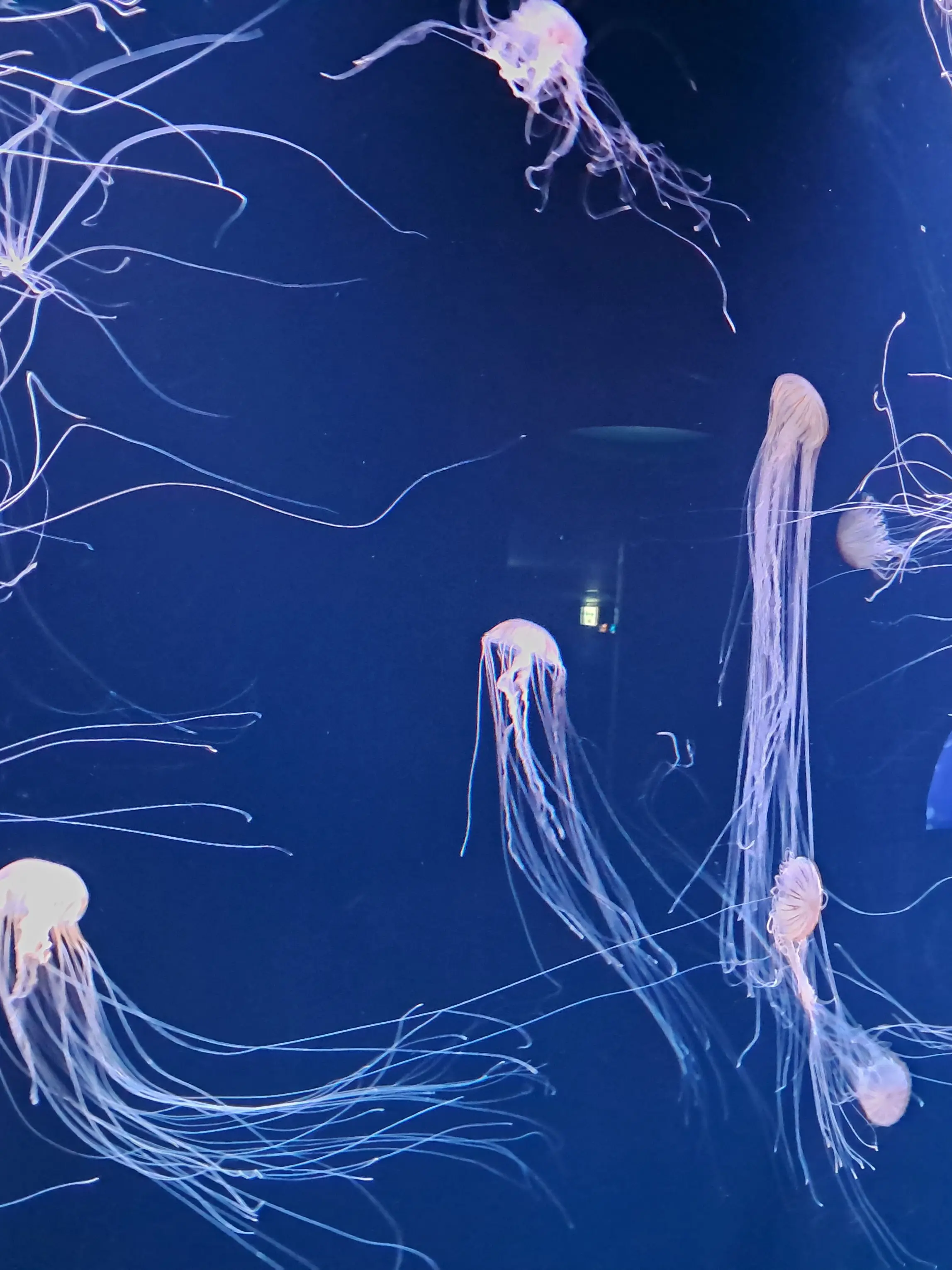 callmehospital의 이 말이 거짓일지도