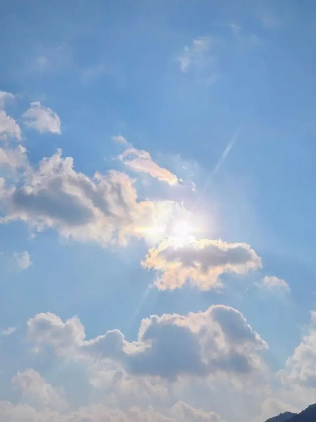 VioletPizza6810의 원혐조(더러움 주의)