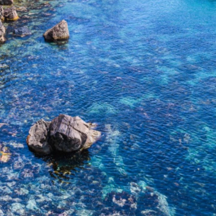 나 좀 꺼내줘.. 좋은 말로 할때..