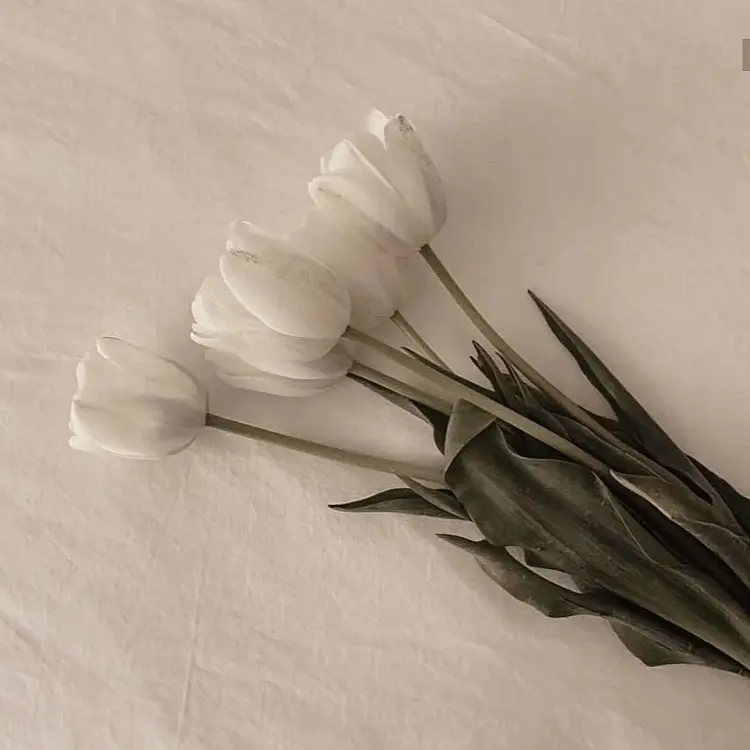 Please.love.us의 나루미 겐