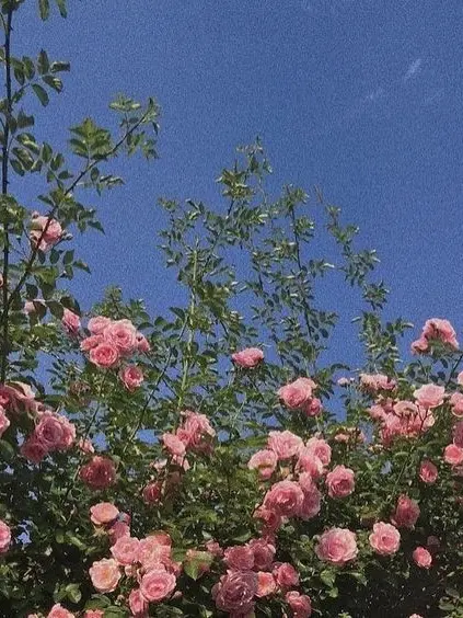 Kju25의 친오빠에게 위로받기