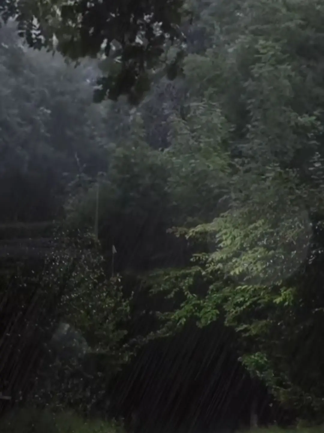 ABC67의 고고프렌즈 오해