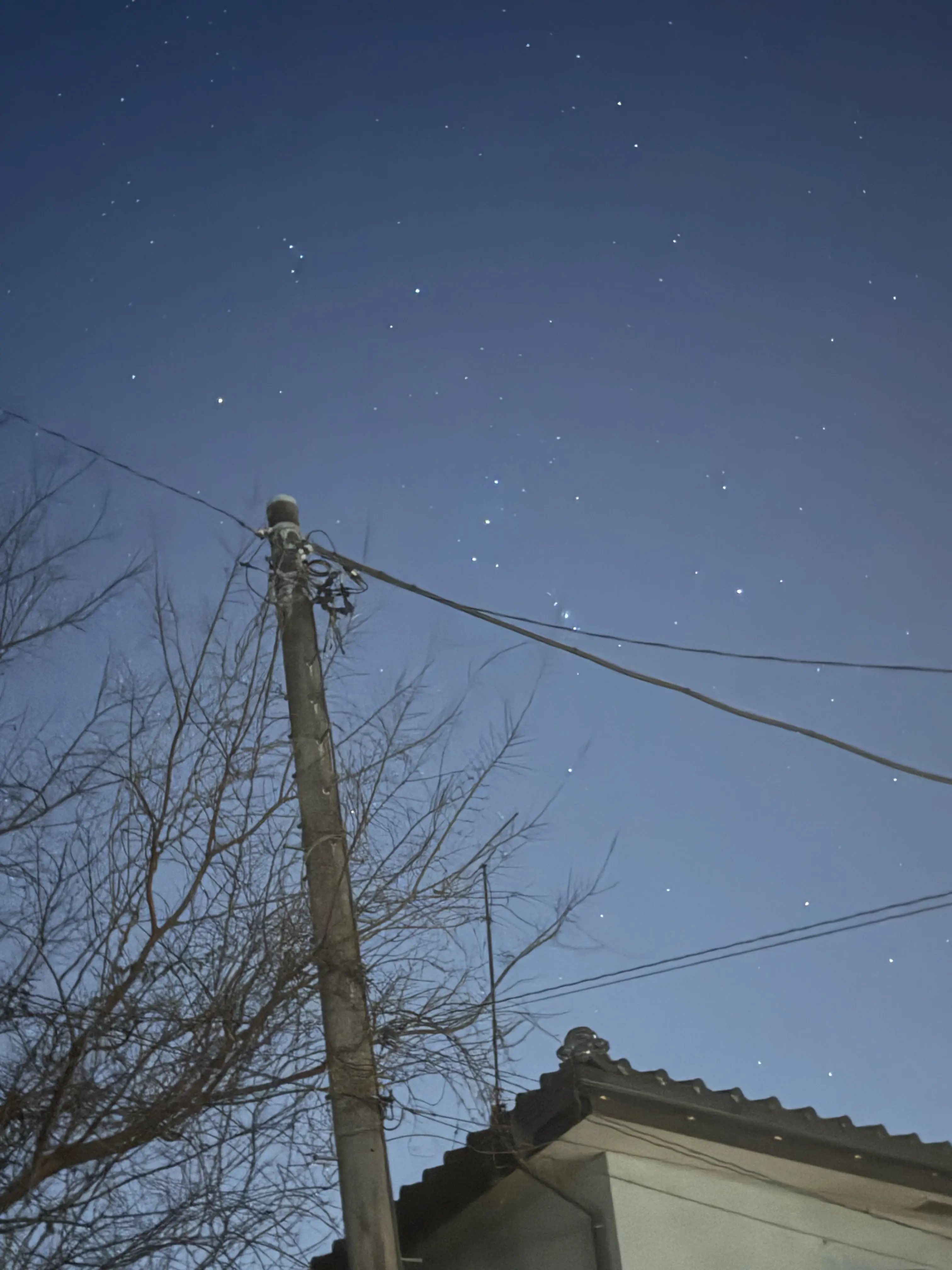 IronicEmber2268의 政略恋愛