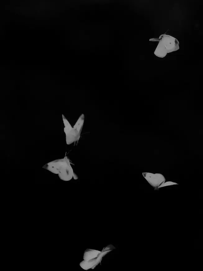 mxonxx의 ㅤ