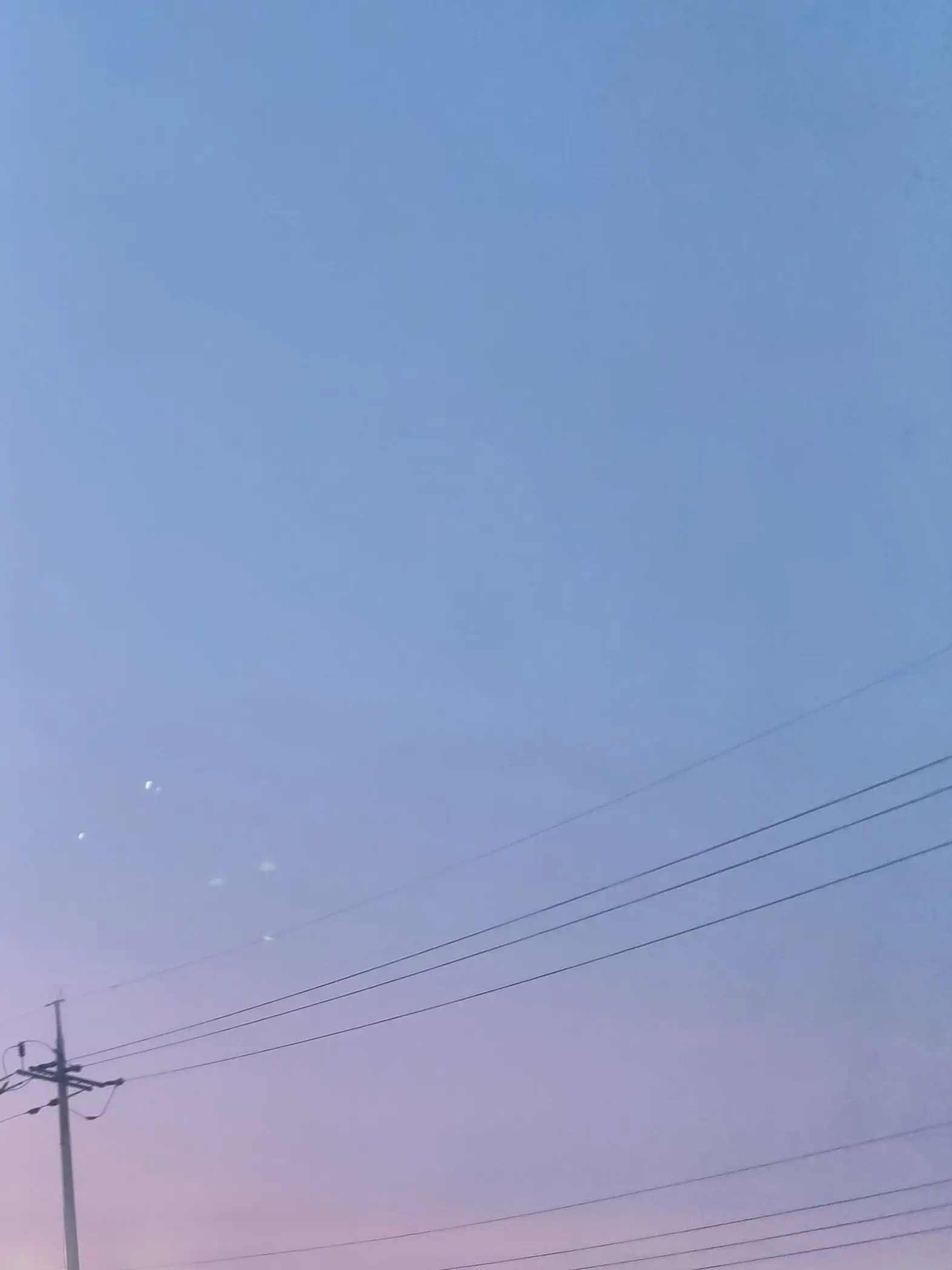 wjsdkfn의 꽥탐,드리미(+여우추가)