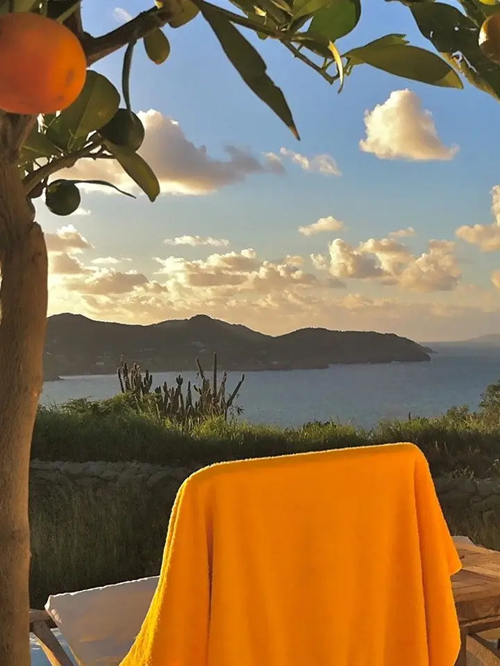 LeanerFez7723의 다파학 빤짝✨