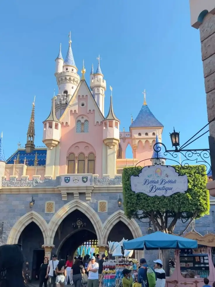 DarkBarn6013의 Disneyland