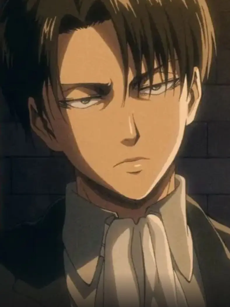 ChunkyMoon2714의 리바이와 함께 살기