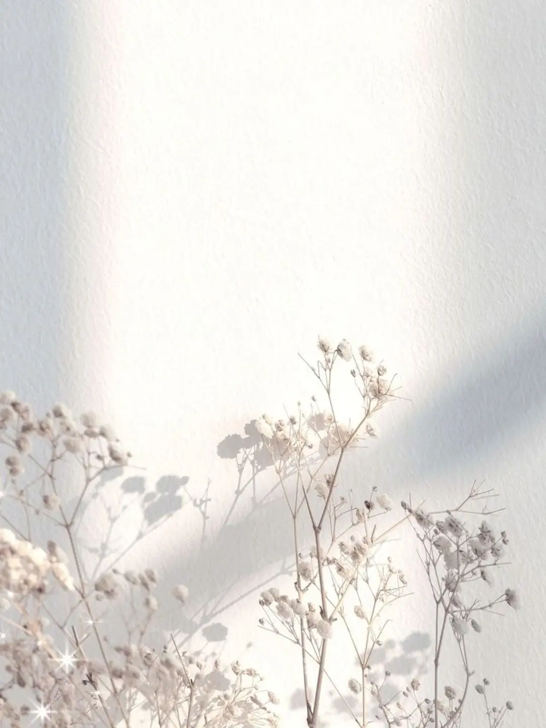 Noy1022_의 The Line Between Us This Summer