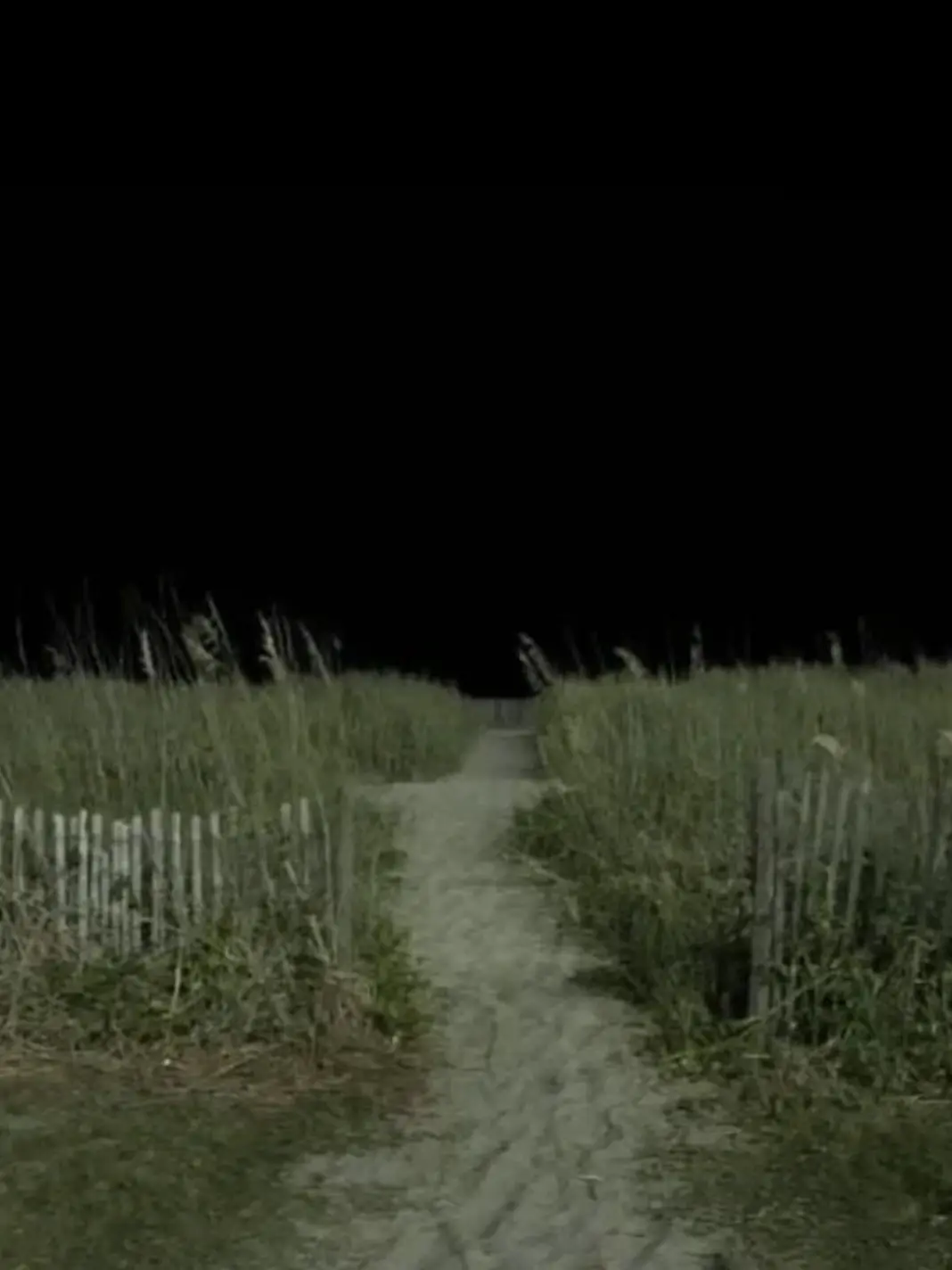 riann_TwoTime의 なんで襲われてるん?!?!