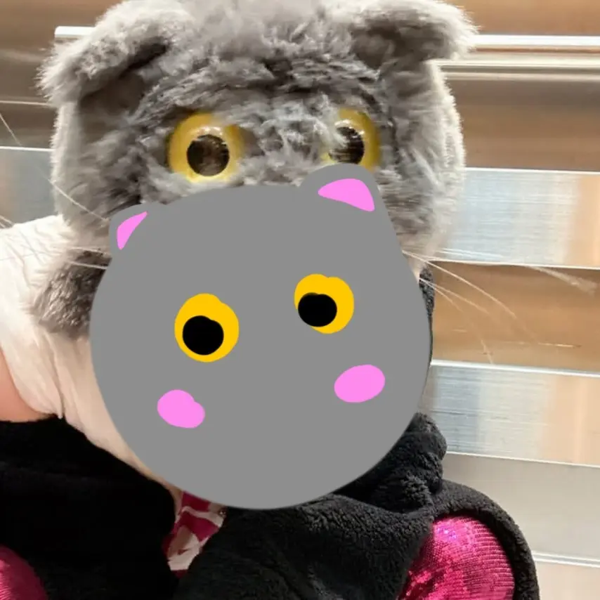 DourSpicy9599의 권죵(징요)(^3^)/