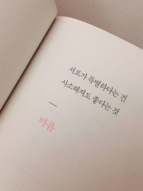 타라는 썸은 안 타고 대표 이미지