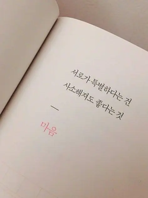 Yoooooon06의 타라는 썸은 안 타고