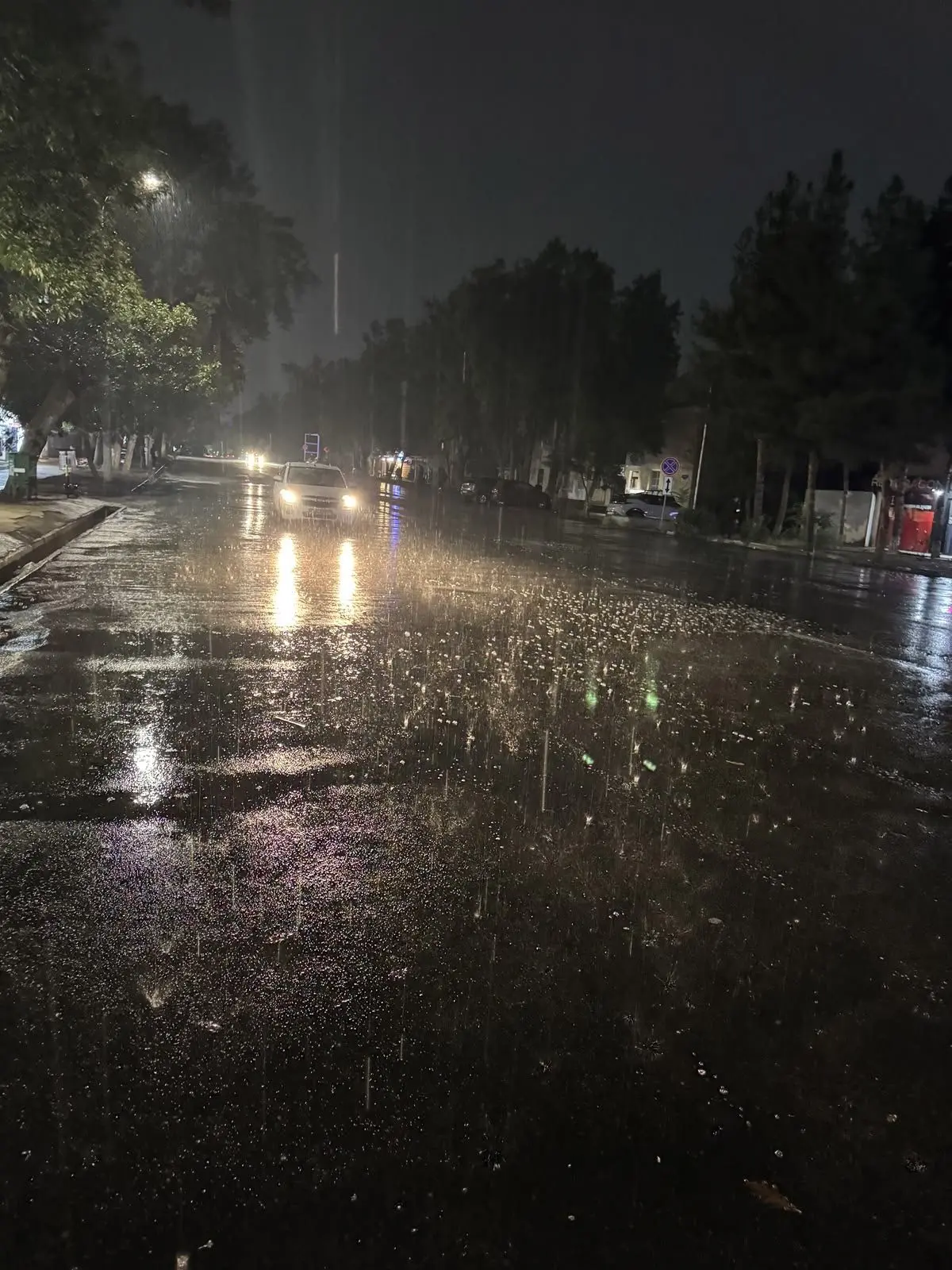 isolatedsoul의 The Boy in the Rain