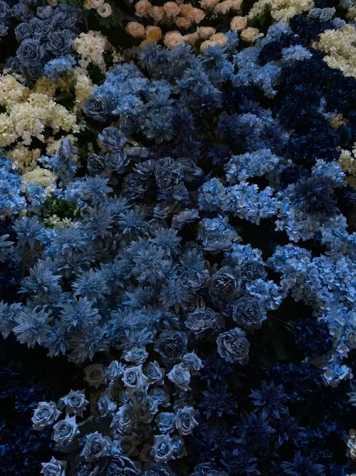 hom.e.com.의 "사생으로 오해 받아버렸어"