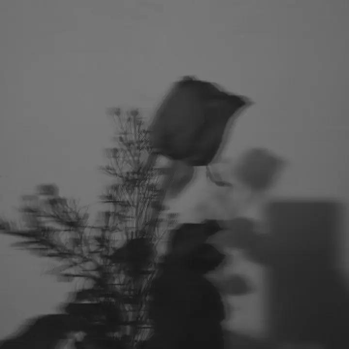 rose136p의 아내 바보남편..