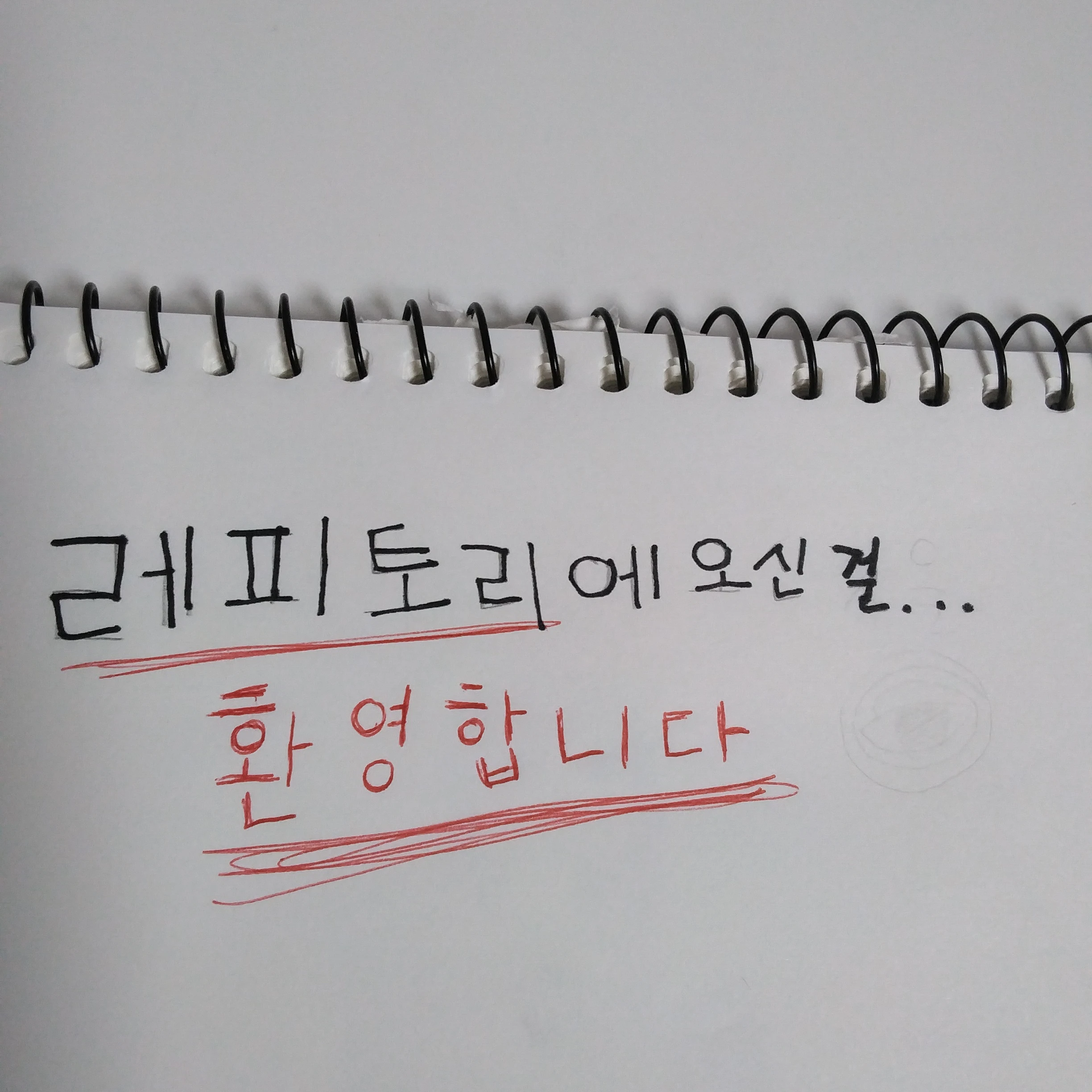 레피토리.
