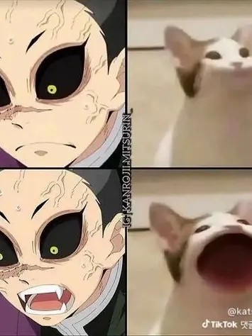 Ganyacute의 주들이 성별이 바뀌였다아??