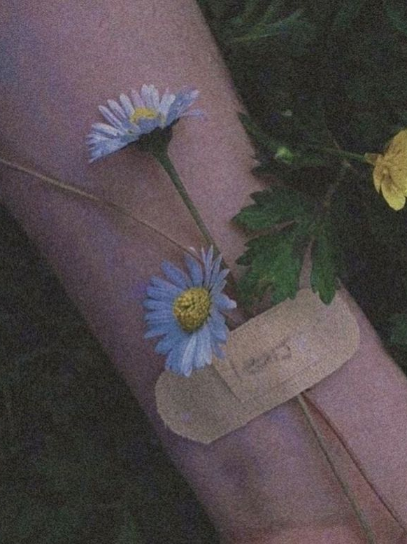 이런 모습 보이고 싶지 않았는데. 대표 이미지
