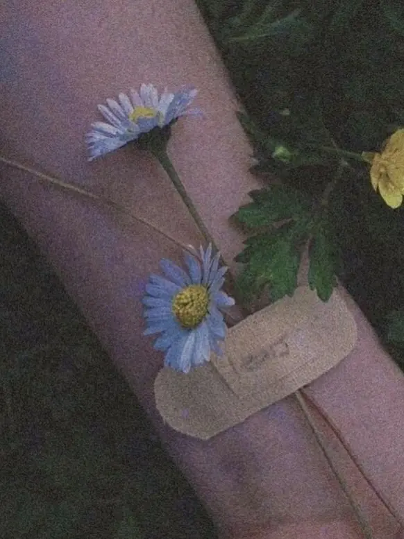 akashiskidayo의 이런 모습 보이고 싶지 않았는데.