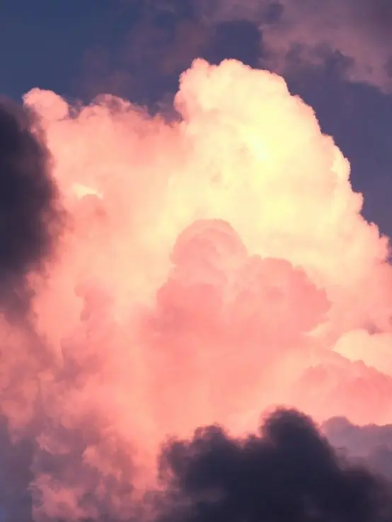 akaza--lover의 마법정령이 되어보자. -귀멸의 칼날-