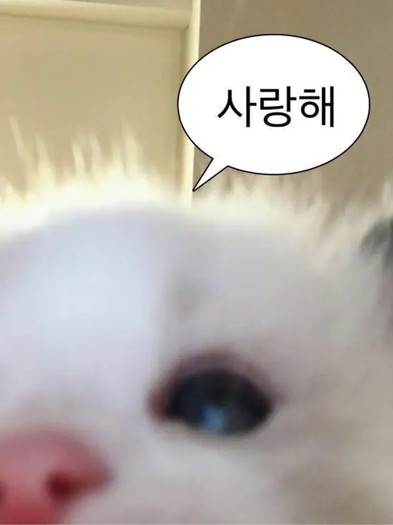 in_xz7의 찐따녀와 인싸녀